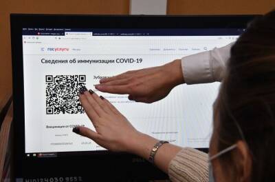 Власти Курганской области до февраля приостановили действие QR-кодов - interfax-russia.ru - Курганская обл.