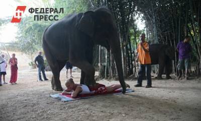 Таиланд назвал дату отмены карантина для привитых туристов - fedpress.ru - Москва - Таиланд