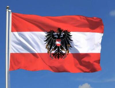 В Австрии может начаться серьёзный политический кризис из-за пандемии - argumenti.ru - Вена - Австрия
