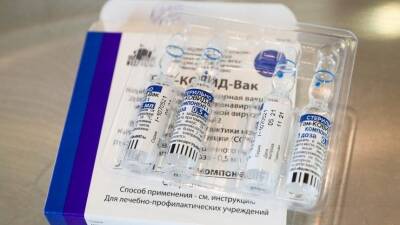 Кирилл Дмитриев - В РФПИ заявили, что «Спутник V» самая эффективная вакцина против «омикрона» - 5-tv.ru - Россия - Италия