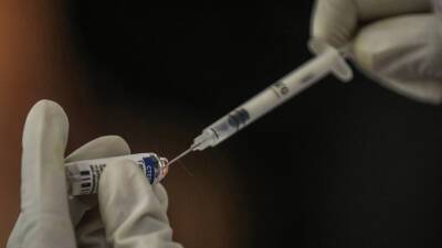 Александр Гинцбург - Гинцбург рассказал о высокой защите вакцин «Спутник V» и «Спутник Лайт» от «омикрона» - russian.rt.com