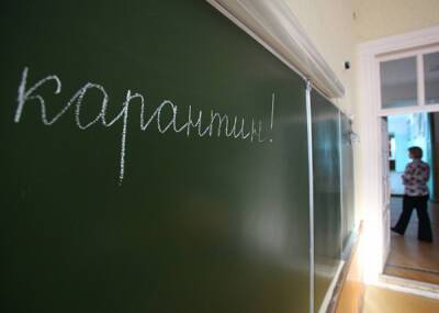 На Южном Урале учеников 23 классов отправили на карантин по ОРВИ - nakanune.ru