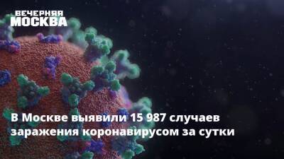 Евгений Тимаков - В Москве выявили 15 987 случаев заражения коронавирусом за сутки - vm.ru - Россия - Москва