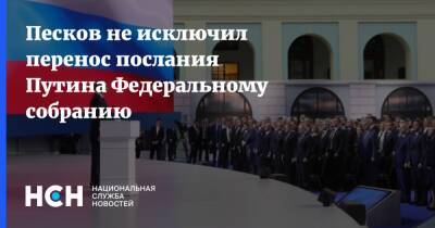 Владимир Путин - Дмитрий Песков - Песков не исключил перенос послания Путина Федеральному собранию - nsn.fm