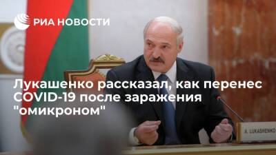 Александр Лукашенко - Белоруссия - Президент Белоруссии Лукашенко о том, как переболел COVID-19: на лыжах бегал, дрова рубил - ria.ru - Белоруссия - Минск