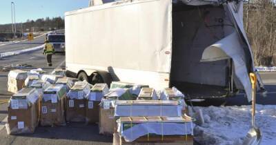 Обезьяны для лабораторных исследований сбежали из грузовика после ДТП в США (фото) - focus.ua - Украина - Сша - New York - штат Флорида - штат Пенсильвания