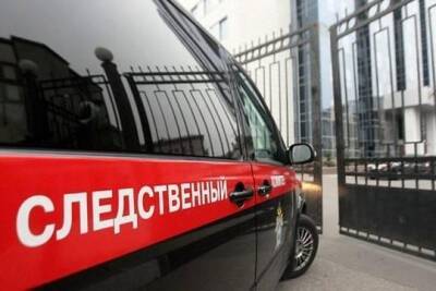 В Санкт-Петербурге закрыли 20 бойкотировавших QR-коды баров и ресторанов - versia.ru - Россия - Санкт-Петербург