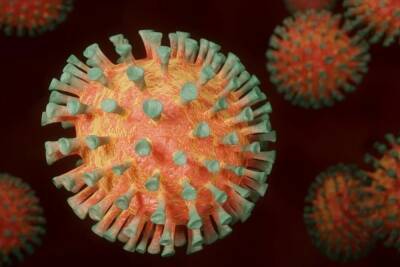 ВОЗ: число случаев коронавируса в мире превысило 340 млн - mk.ru - Covid-19