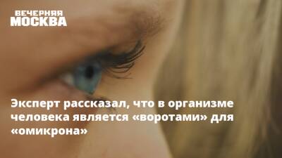 Андрей Исаев - Александр Гинцбург - Эксперт рассказал, что в организме человека является «воротами» для «омикрона» - vm.ru - Россия