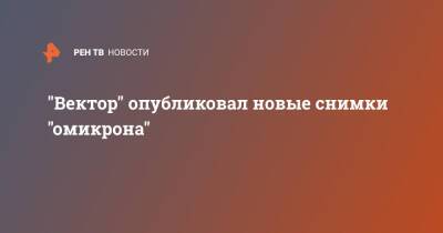 "Вектор" опубликовал новые снимки "омикрона" - ren.tv - Россия