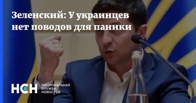 Владимир Зеленский - Зеленский: У украинцев нет поводов для паники - nsn.fm - Украина