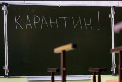 В Ярославской области более 4 тысяч школьников отправлены на карантин - yar.mk.ru - Ярославская обл.