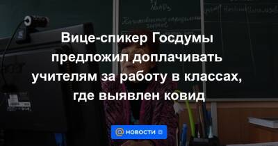Вице-спикер Госдумы предложил доплачивать учителям за работу в классах, где выявлен ковид - news.mail.ru - Россия