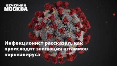 Николай Малышев - Инфекционист рассказал, как происходит эволюция штаммов коронавируса - vm.ru
