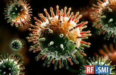 В России за сутки выявлено 67 809 случаев инфицирования коронавирусом - rf-smi.ru - Россия - Covid-19