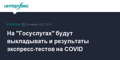 Михаил Мишустин - На "Госуслугах" будут выкладывать и результаты экспресс-тестов на COVID - interfax.ru - Москва