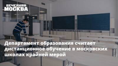 Департамент образования считает дистанционное обучение в московских школах крайней мерой - vm.ru - Москва