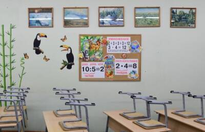 Студентов и школьников 1-8 классов в Туве переводят на "удаленку" на фоне ситуации с COVID-19 - interfax-russia.ru - Кызыл - Тува
