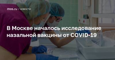 Анастасия Ракова - Анастасий Раков - В Москве началось исследование назальной вакцины от COVID-19 - mos.ru - Россия - Москва - Covid-19