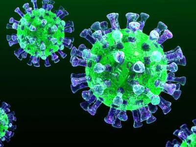 «Достаточно одной мутации»: новый вид опасного коронавируса нашли у летучих мышей в ЮАР - bloknot.ru