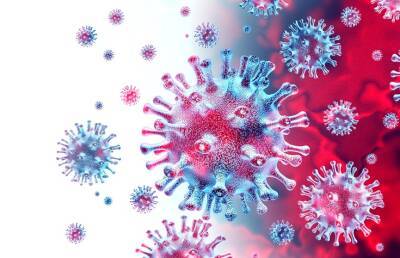 Ученые из Уханя заявили о новом коронавирусе, который представляет опасность для людей - ont.by - Белоруссия - Ухань - Юар