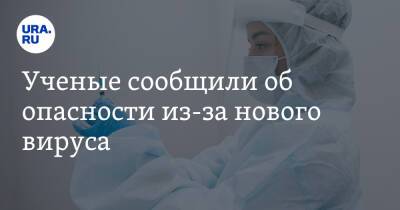 Ученые сообщили об опасности из-за нового вируса - ura.news - Юар - Covid-19