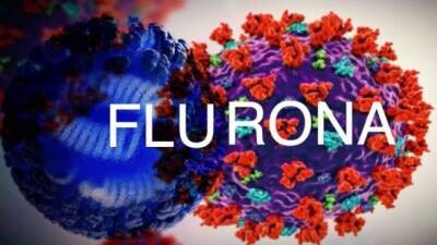 В Молдавии есть первый заболевший «флуроной» — ковидом, осложнённым гриппом - eadaily.com - Молдавия - Приднестровье