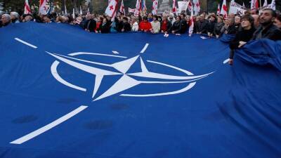Михаил Саакашвили - Ираклий Гарибашвили - В Грузии растет число сторонников интеграции в НАТО и ЕС - golos-ameriki.ru - Евросоюз - Грузия