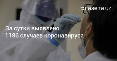 За сутки выявлено 1186 случаев коронавируса - gazeta.uz - Узбекистан - Ташкент