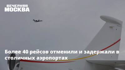 Дмитрий Горин - Более 40 рейсов отменили и задержали в столичных аэропортах - vm.ru - Россия - Москва - Таиланд