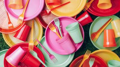 Найдена связь между пластиковой посудой и ожирением - mir24.tv - Норвегия