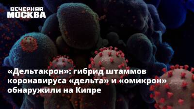«Дельтакрон»: гибрид штаммов коронавируса «дельта» и «омикрон» обнаружили на Кипре - vm.ru - Кипр - Юар