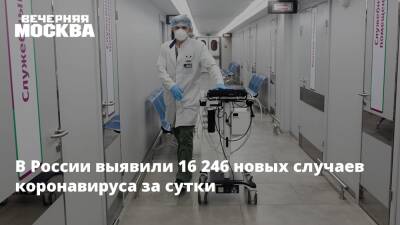 Мария Ван Керкхове - В России выявили 16 246 новых случаев коронавируса за сутки - vm.ru - Россия - Москва