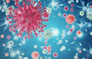 Пандемия COVID-19 привела к всплеску инфекций супербактерий - charter97.org - Белоруссия - Covid-19