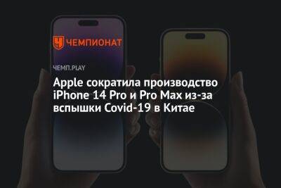 Apple сократила производство iPhone 14 Pro и Pro Max из-за вспышки Covid-19 в Китае - championat.com - Китай - Covid-19