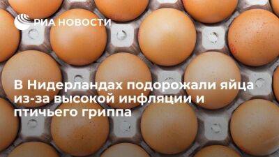 Dutch News: в Нидерландах подорожали яйца из-за инфляции и последствий птичьего гриппа - smartmoney.one - Россия - Украина - Сша - Голландия