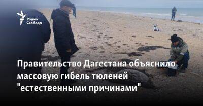 Правительство Дагестана объяснило массовую гибель тюленей "естественными причинами" - svoboda.org - Москва - Астрахань - республика Дагестан - Махачкала