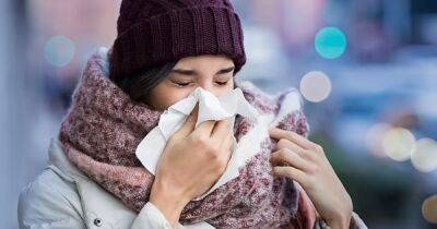 Виноват наш нос. Ученые рассказали, почему мы простужаемся зимой чаще - focus.ua - Украина - штат Массачусетс - Бостон