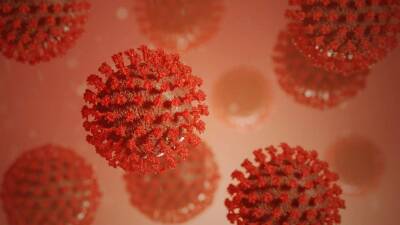 Ученые: Новый «омикрон» способен обходить иммунитет к коронавирусу - actualnews.org - Дания - Алжир