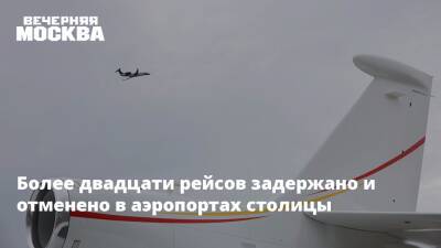 Дмитрий Горин - Более двадцати рейсов задержано и отменено в аэропортах столицы - vm.ru - Россия - Москва - Тунис