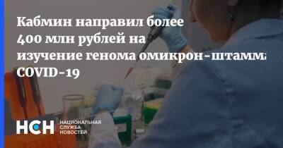 Михаил Мишустин - Кабмин направил более 400 млн рублей на изучение генома омикрон-штамма COVID-19 - nsn.fm - Россия