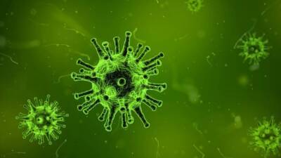 Омикрон-штамм коронавируса оказался заразнее чумы, сибирской язвы и кори - inforeactor.ru