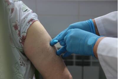 План вакцинации от коронавируса в Башкирии выполнили на 91 процентов - ufa.mk.ru - республика Башкирия
