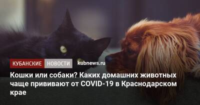Кошки или собаки? Каких домашних животных чаще прививают от COVID-19 в Краснодарском крае - kubnews.ru - Россия - Краснодарский край