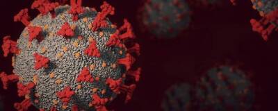 С начала пандемии в Бурятии коронавирусом заразились более 110 тысяч человек - runews24.ru - республика Бурятия - Улан-Удэ