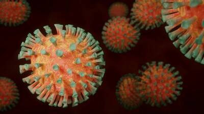 Ханс Клюге - Стало известно, когда появится новый штамм коронавируса - bash.news