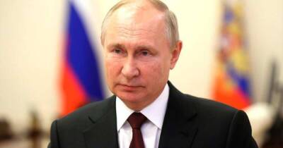 Владимир Путин - Жаир Болсонару - Путин заявил Болсонару, что отношения РФ и Бразилии восстанавливаются - ren.tv - Россия - Москва - Бразилия