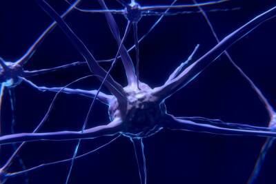 Исследование: у умерших пациентов COVID-19 обнаружили проблемы с мозгом — как при болезни Альцгеймера - itc.ua - Украина - Нью-Йорк - Колумбия - Джорджтаун