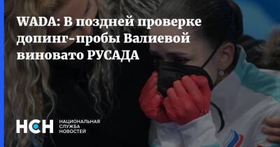 Камила Валиева - WADA: В поздней проверке допинг-пробы Валиевой виновато РУСАДА - nsn.fm - Россия