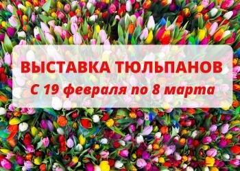 Выставку тюльпанов в Ботаническом саду вы не забудете никогда - vologda-poisk.ru